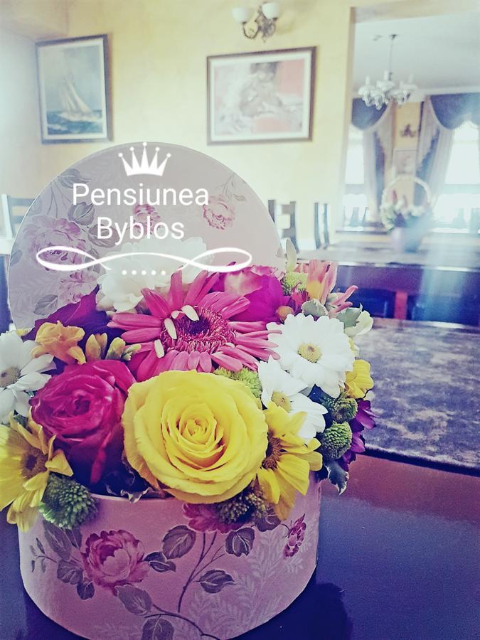 Pensiunea Byblos Piatra Neamţ Zewnętrze zdjęcie